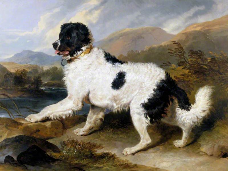 'lion', A Newfoundland Dog — Sir Edwin Henry Landseer