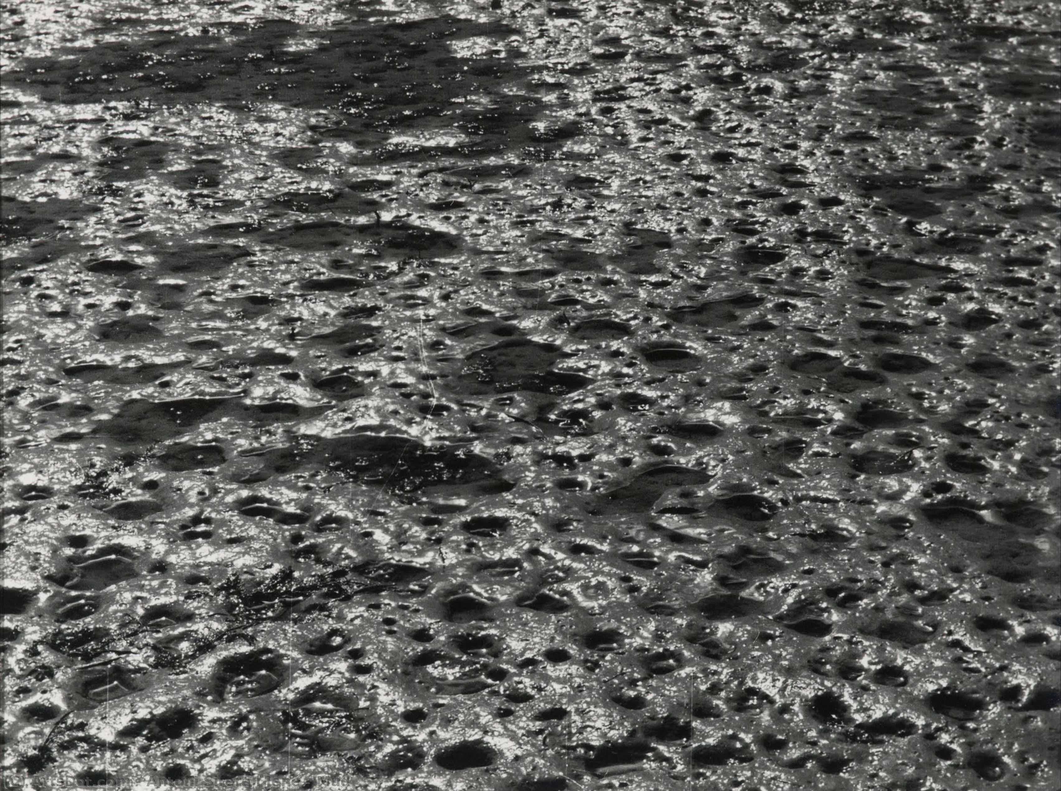 Mud — Ton Sirera