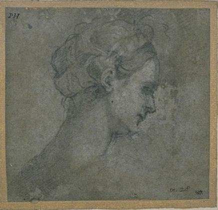 Study Of A Head Of A Young Woman, Side View, Right — Sebastiano Del Piombo