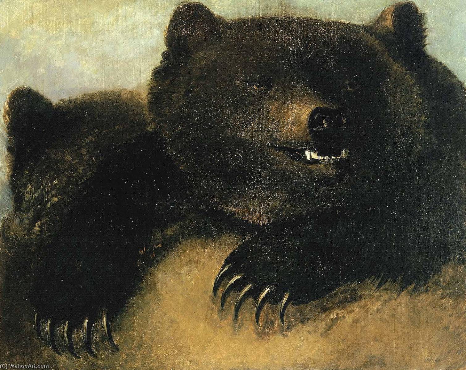Weapons And Physiognomy Of The Grizzly Bear — George Catlin
