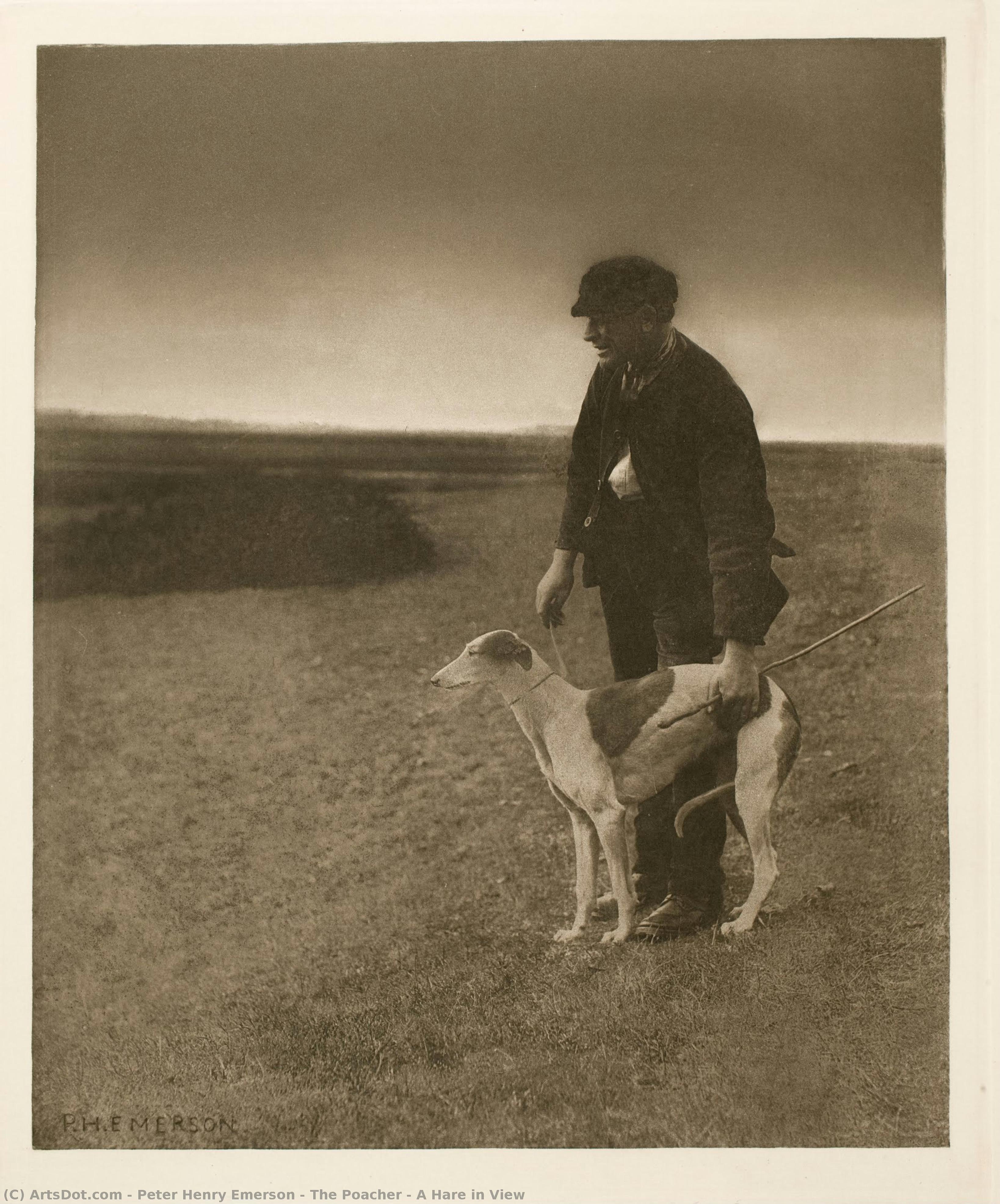 The Poacher - A Hare In View — Peter Henry Emerson