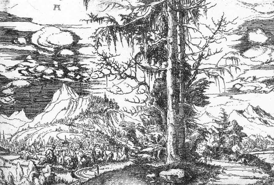 Landscape — Альбрехт Альтдорфер