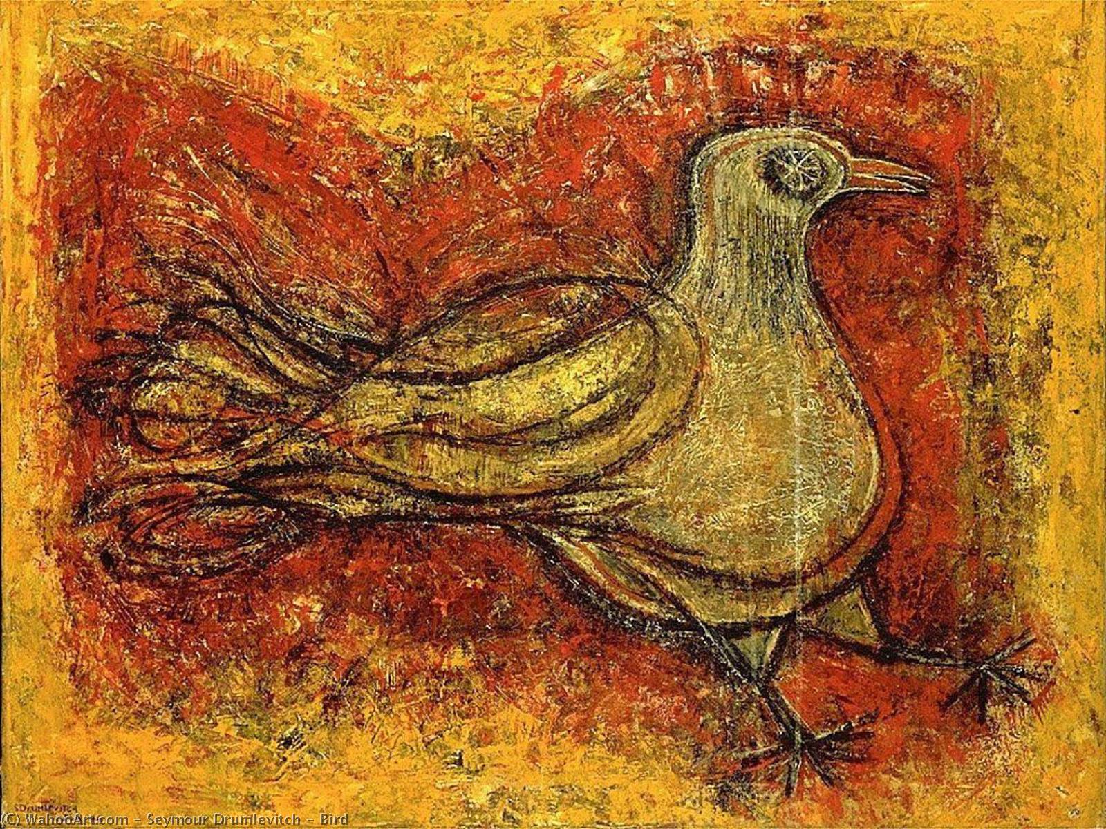 Bird — Seymour Drumlevitch