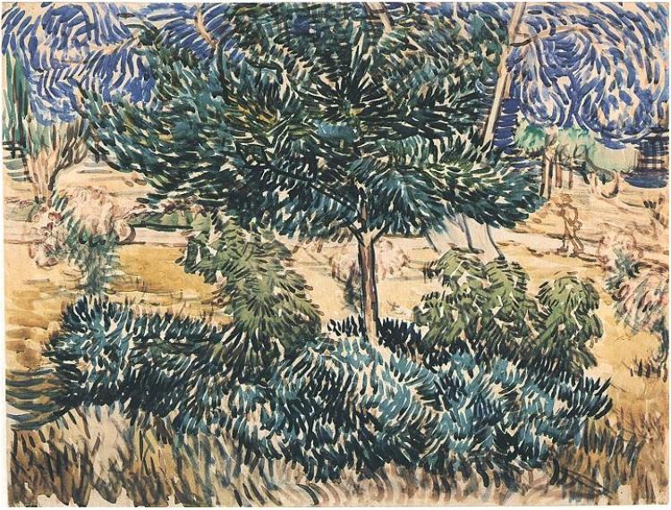 Árboles Y Arbustos — Vincent Willem Van Gogh