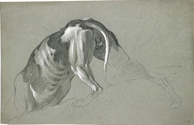 Torse Et Arrière-train D'un Chien De Chasse — Jean-baptiste Oudry