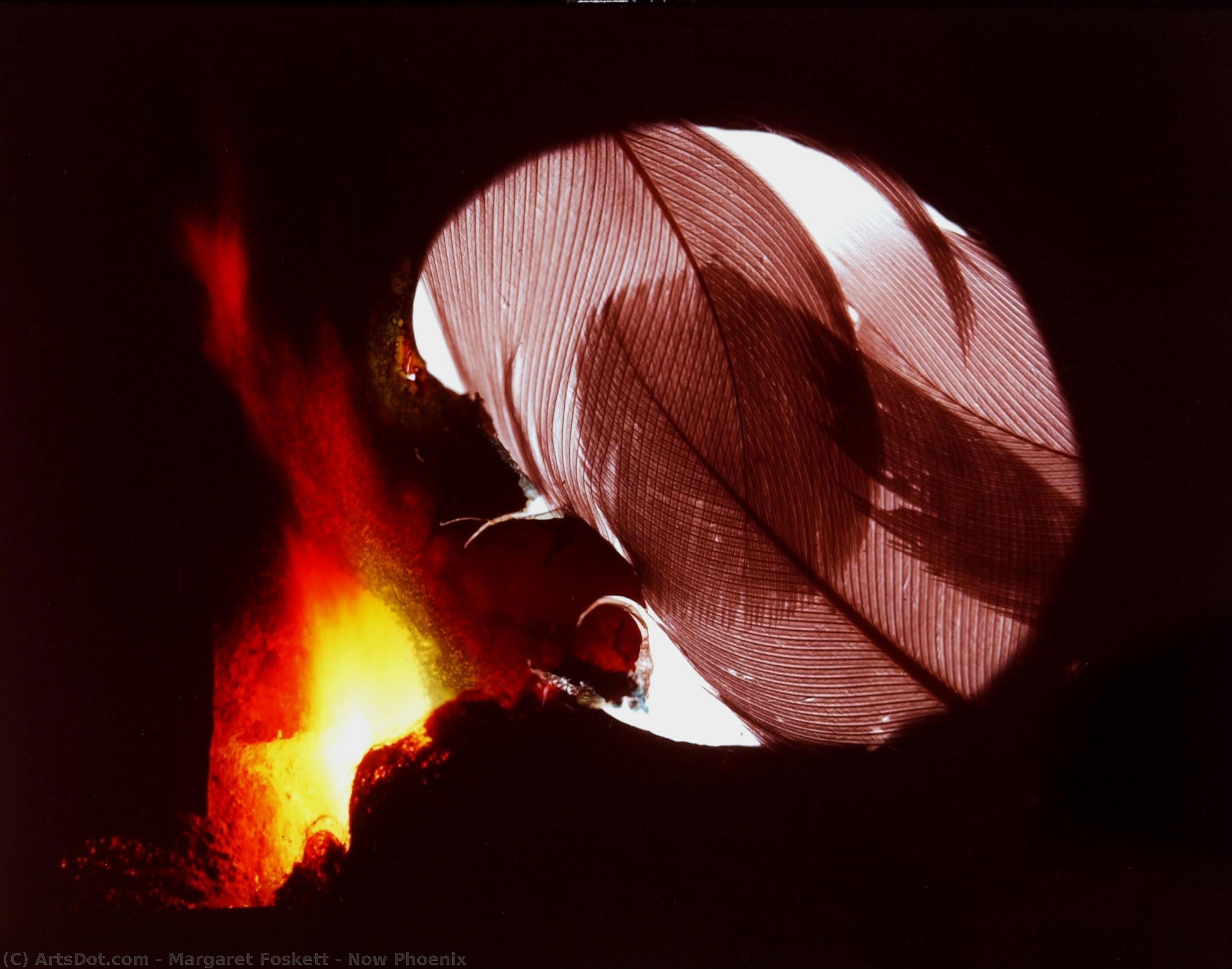 Now Phoenix — Margaret Foskett