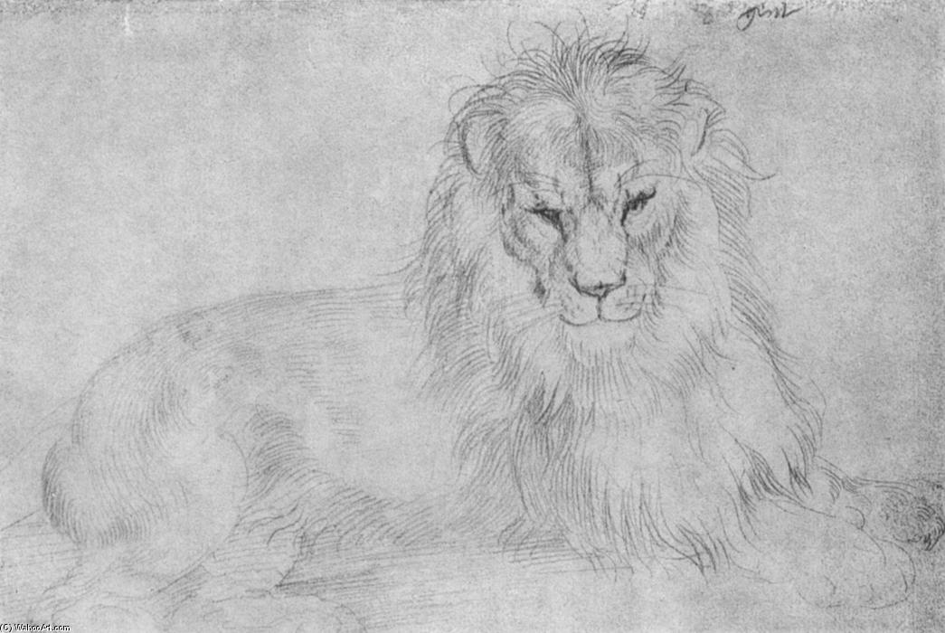 Lion — Альбрехт Дюрер