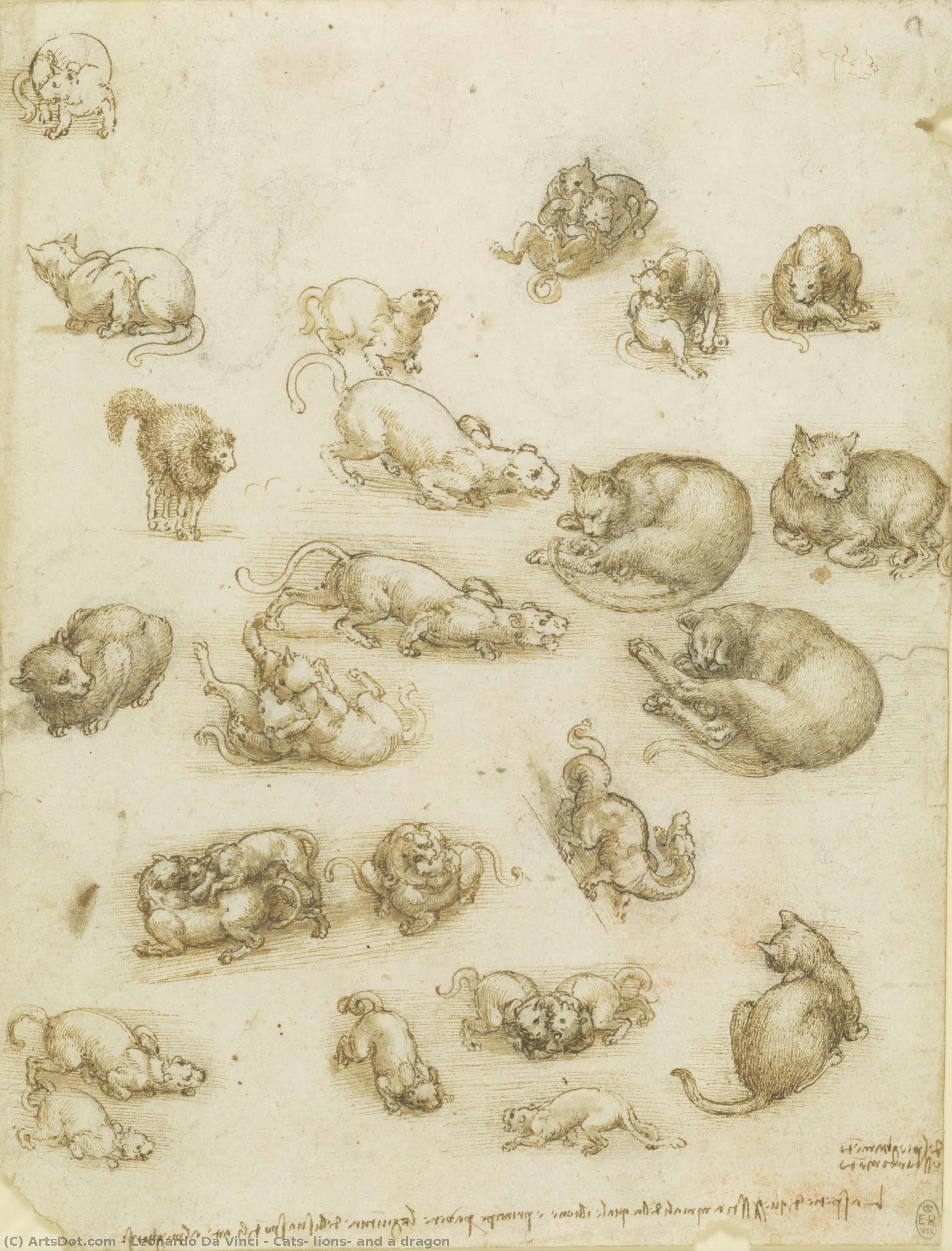 Cats, Lions, And A Dragon — Leonardo Da Vinči