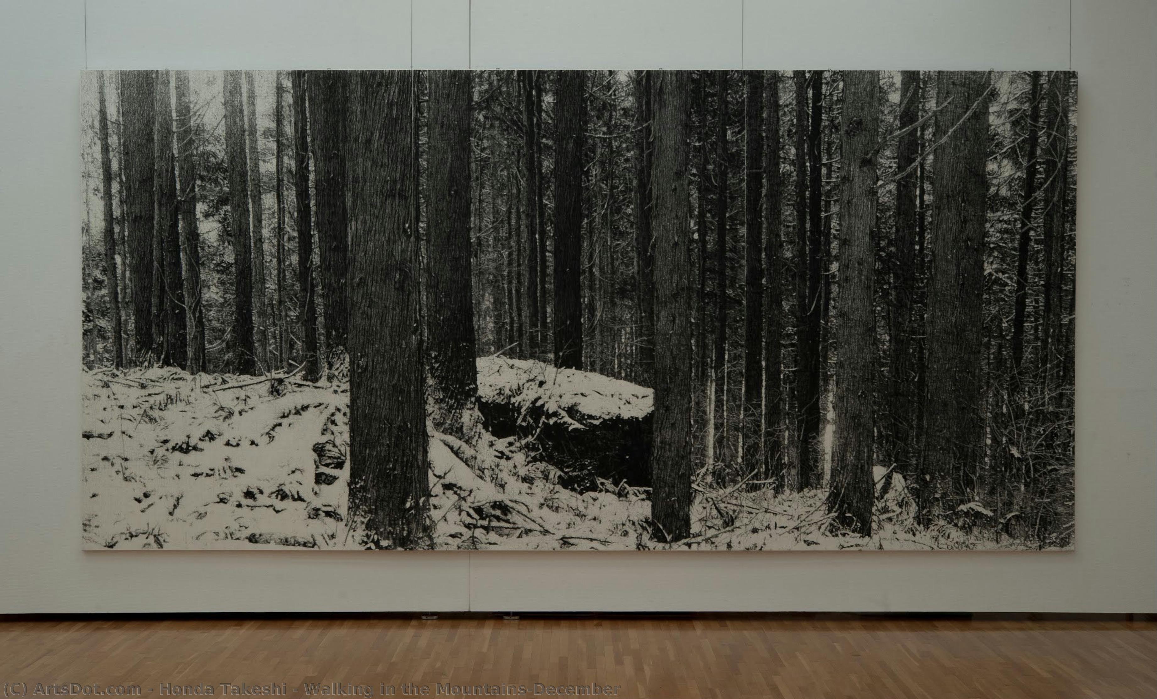 Walking In The Mountains-december — Honda Takeshi