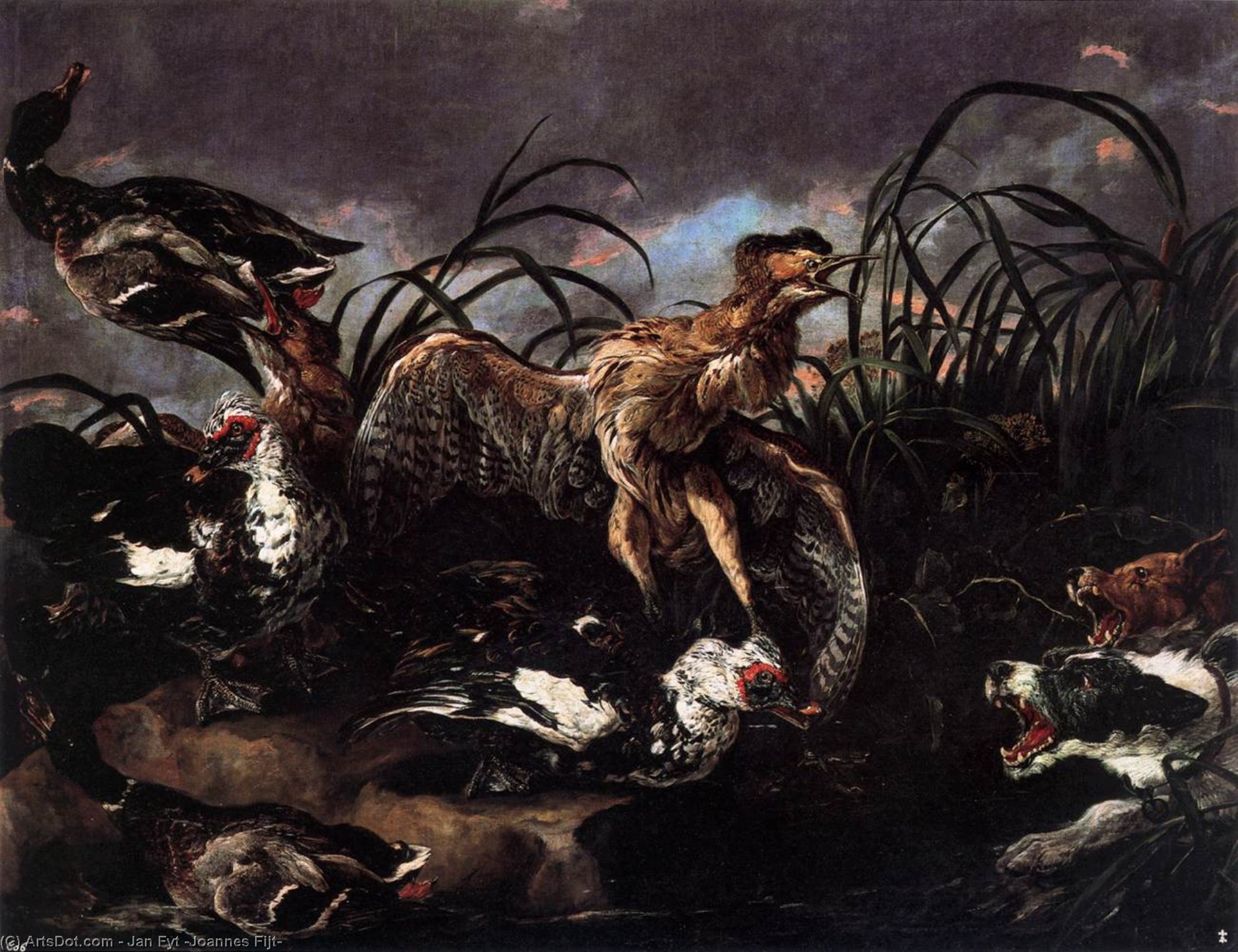 Ducks And Water Hens Surprised By Dogs — Jan Fyt (joannes Fijt)