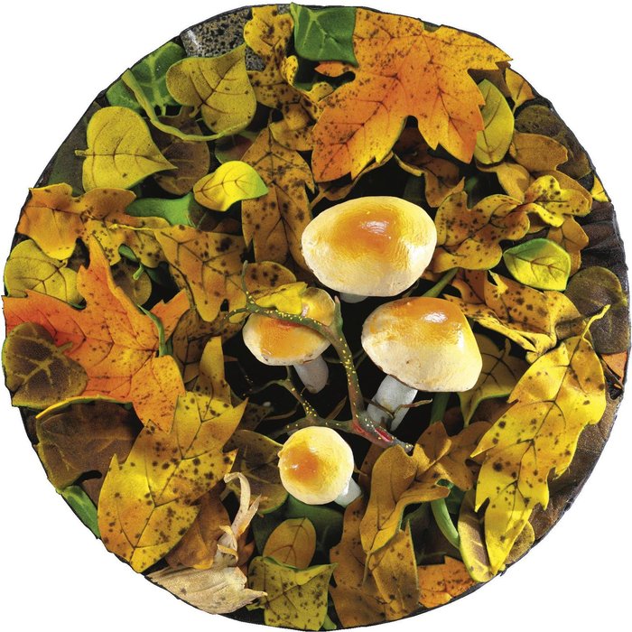 Untitled (879) — Piero Gilardi