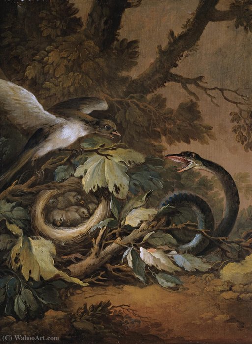 Still Life With A Viper And A Bird's Nest — Christoph Ludwig Agricola