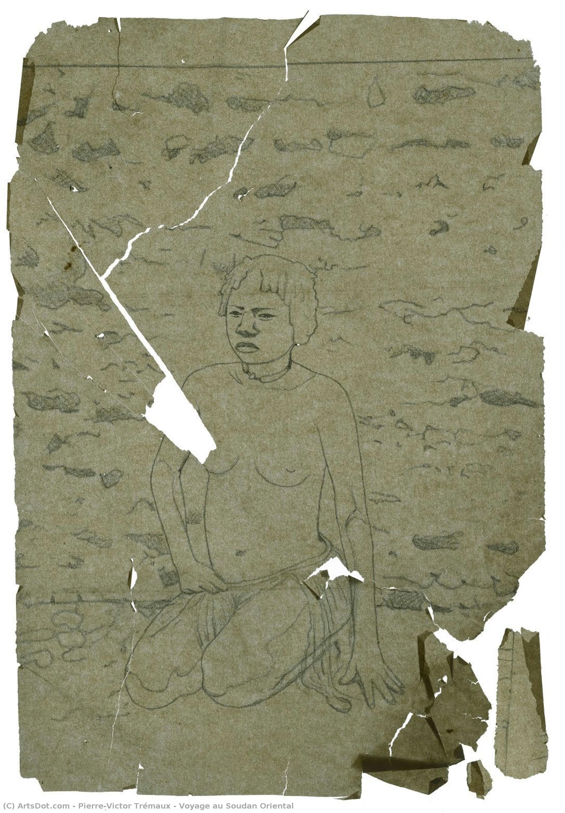 Voyage Au Soudan Oriental — Pierre-victor Trémaux