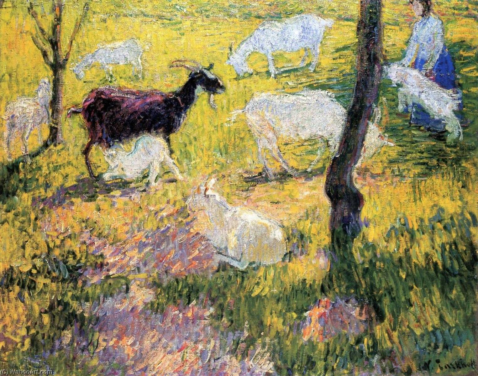 Goats In The Field — Nicolas Tarkhoff