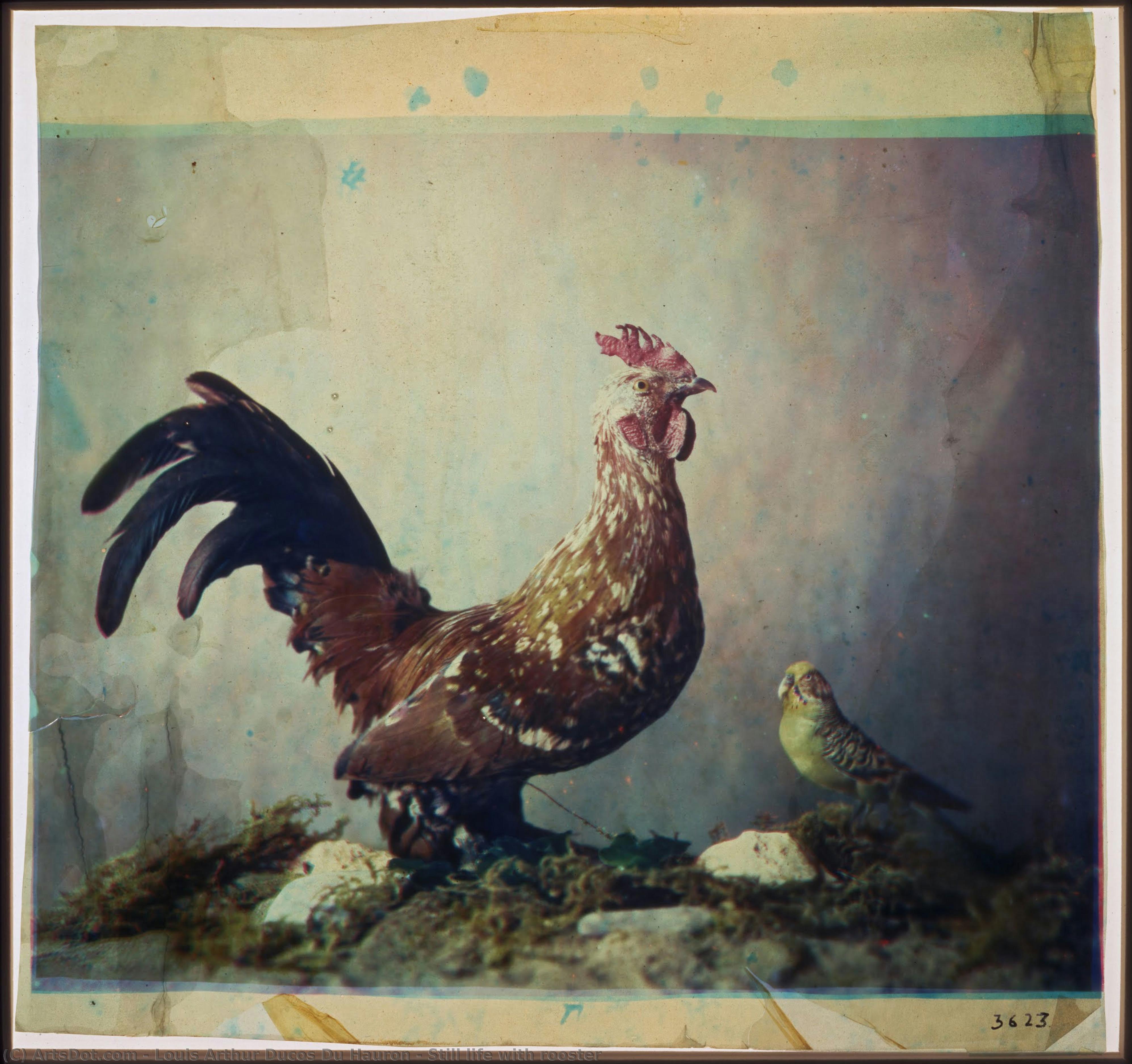 Still Life With Rooster — Louis Arthur Ducos Du Hauron