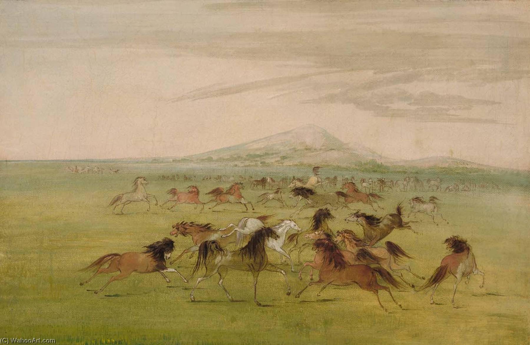Wild Horses At Play — Джордж Катлин