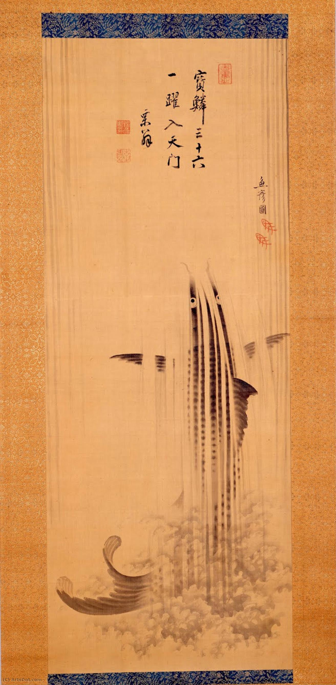 Carp Climbing Up A Waterfall — Katori Nahiko
