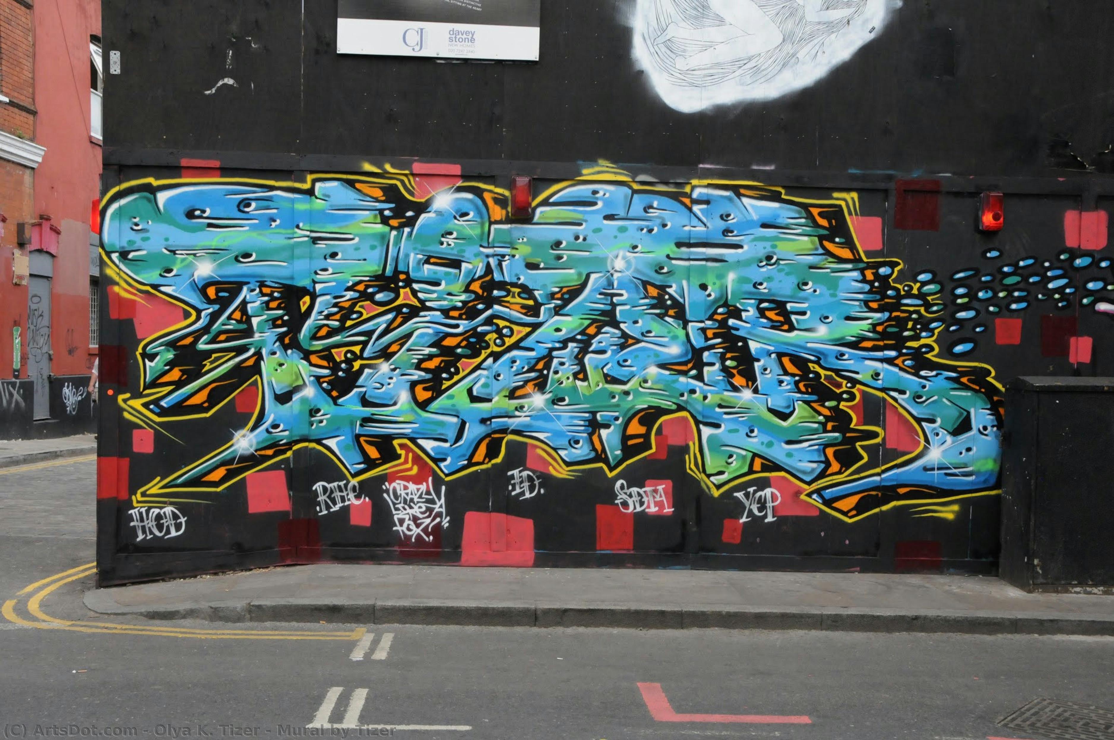 Mural By Tizer — Olya K. Tizer