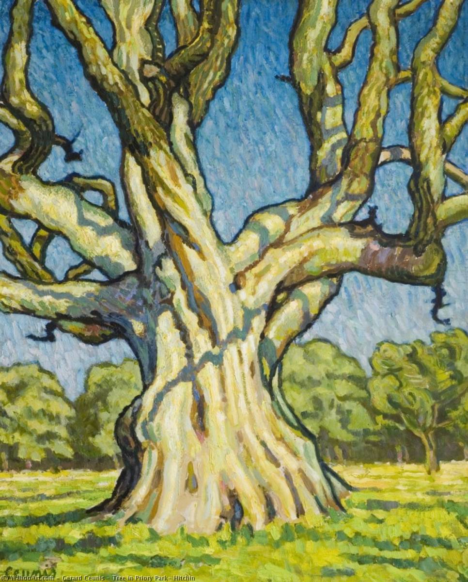 Tree In Priory Park, Hitchin — Gerard Ceunis