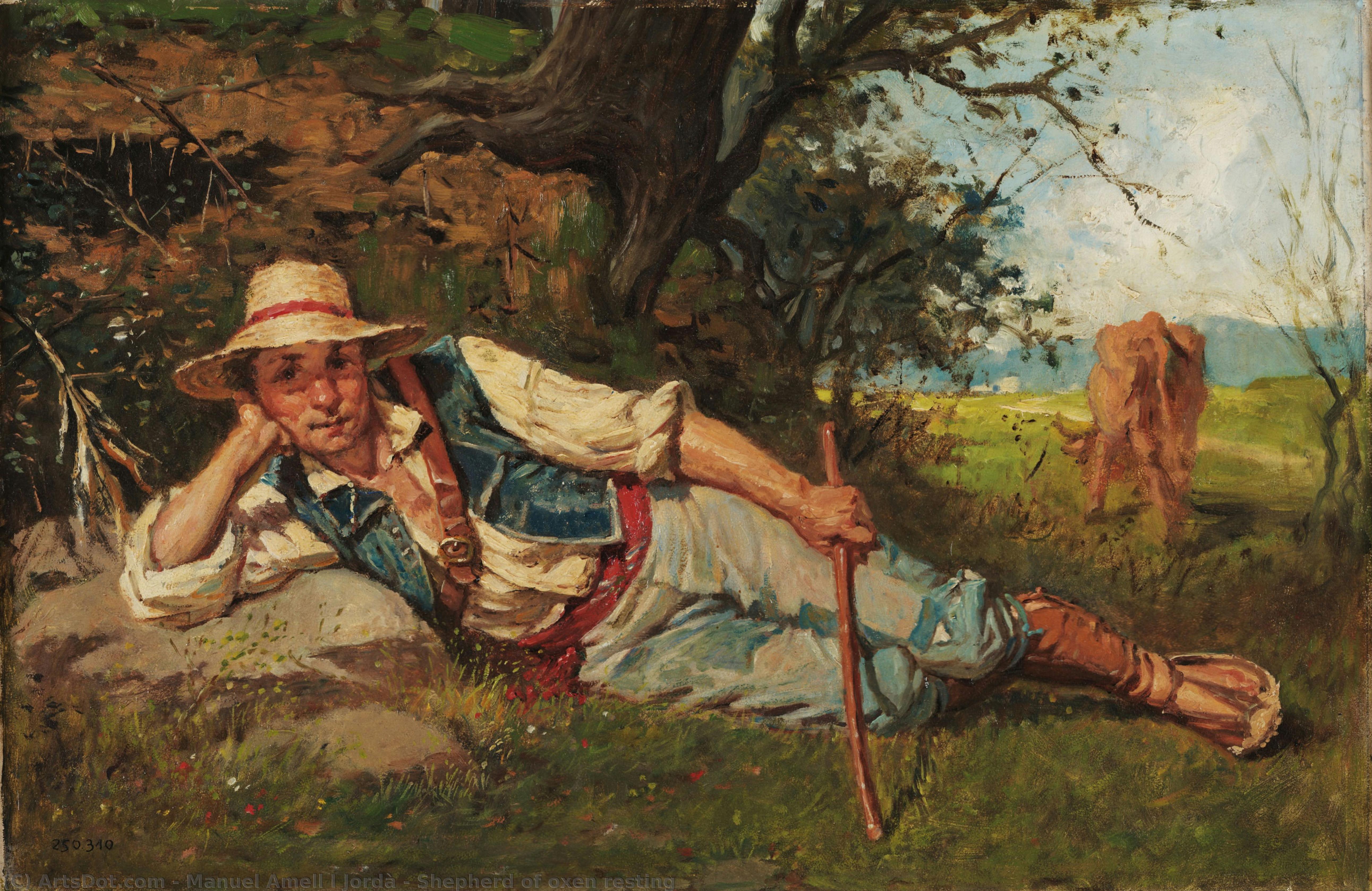 Shepherd Of Oxen Resting — Manuel Amell I Jordà
