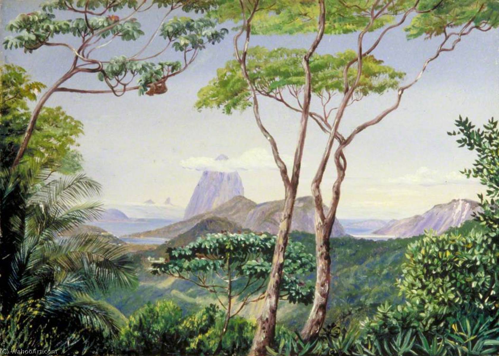 Blick Auf Den Zuckerhut Von Der Aquäduktstraße, Rio Janeiro — Marianne North