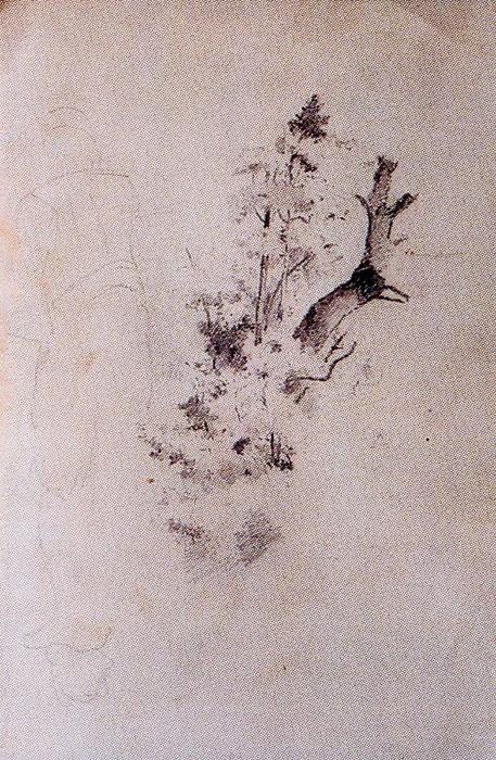 Sketch Of Trees 2 — Ovidio Murguía De Castro