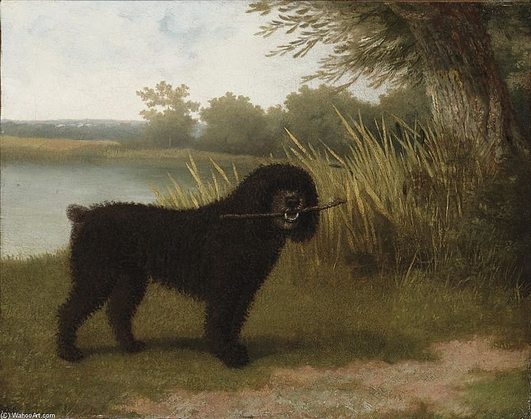 A Black Water Dog With A Stick By A Lake — Jacques Laurent Agasse