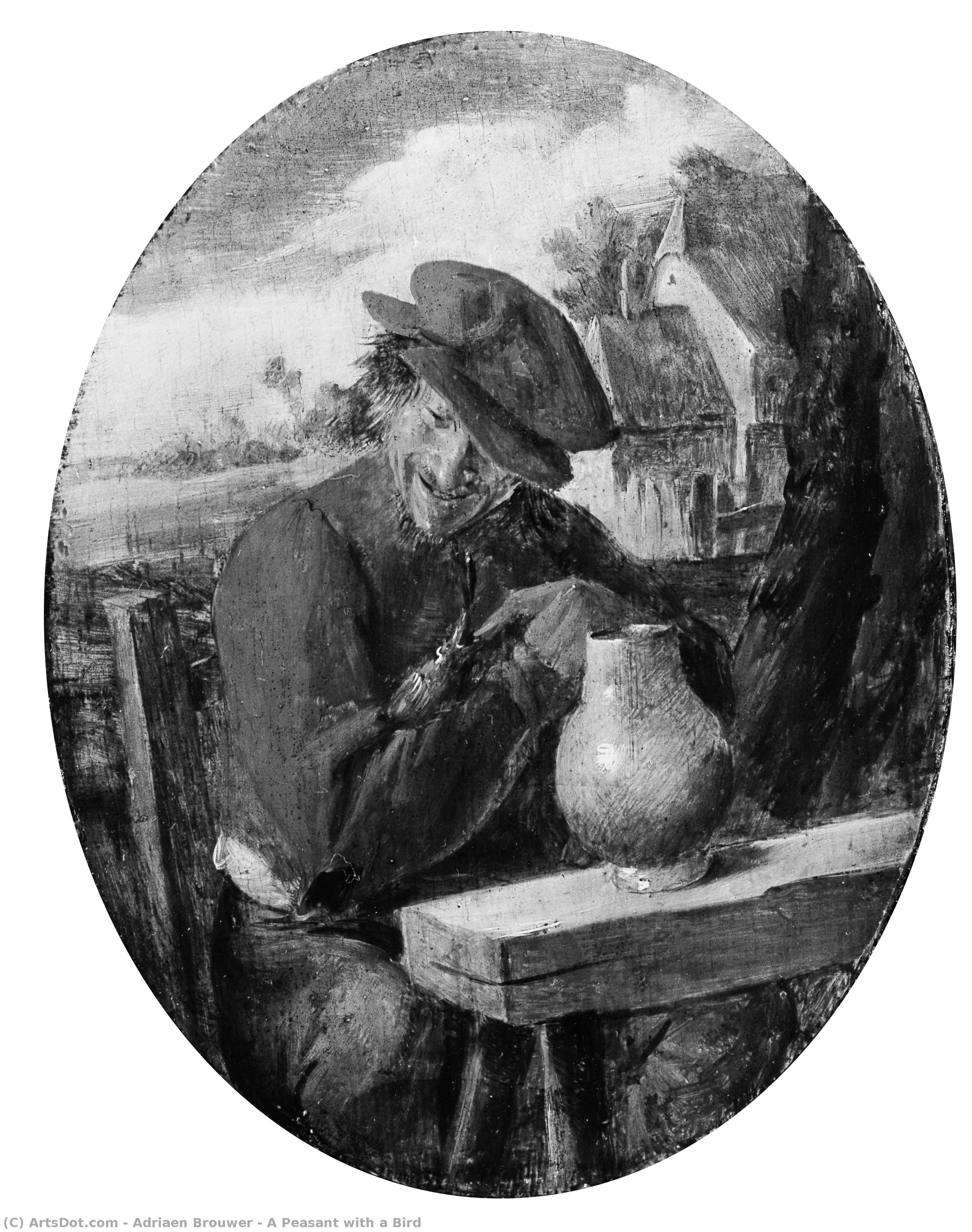 A Peasant With A Bird — Adriaen Brouwer