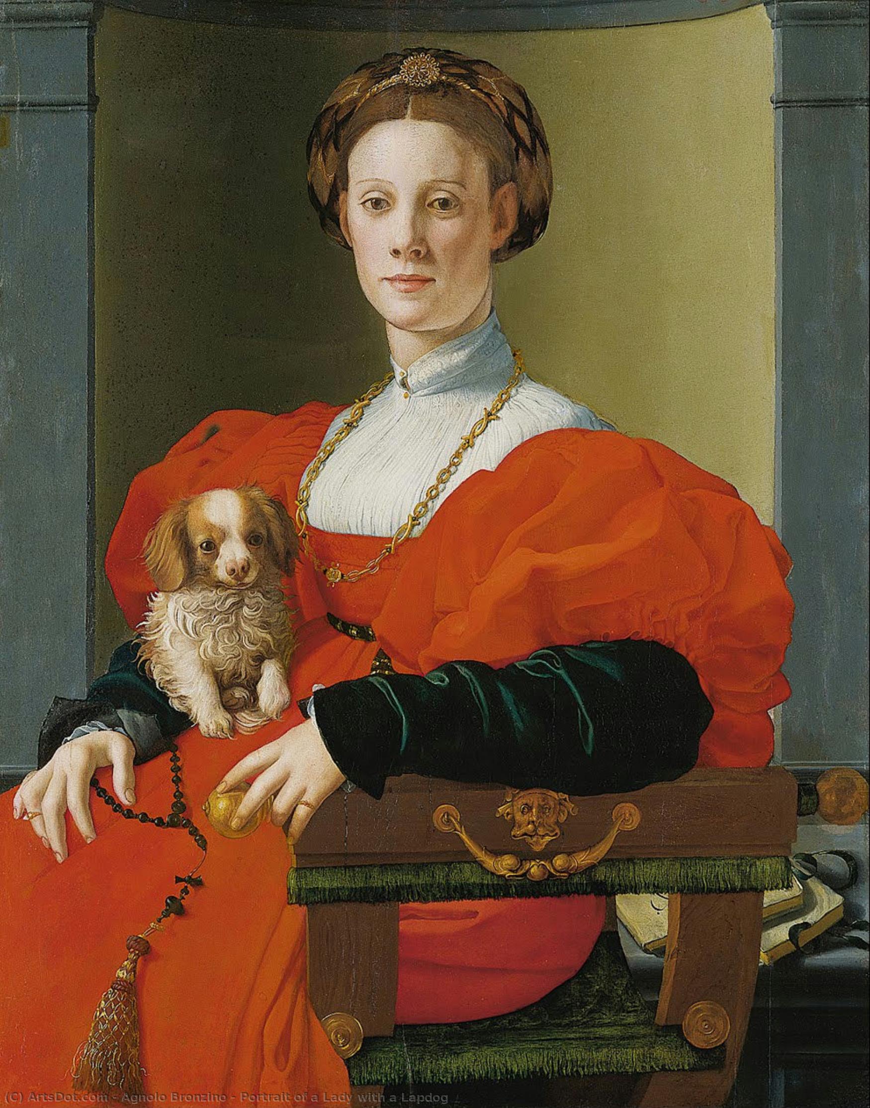 Retrato De Una Dama Con Un Perro Faldero — Agnolo Bronzino