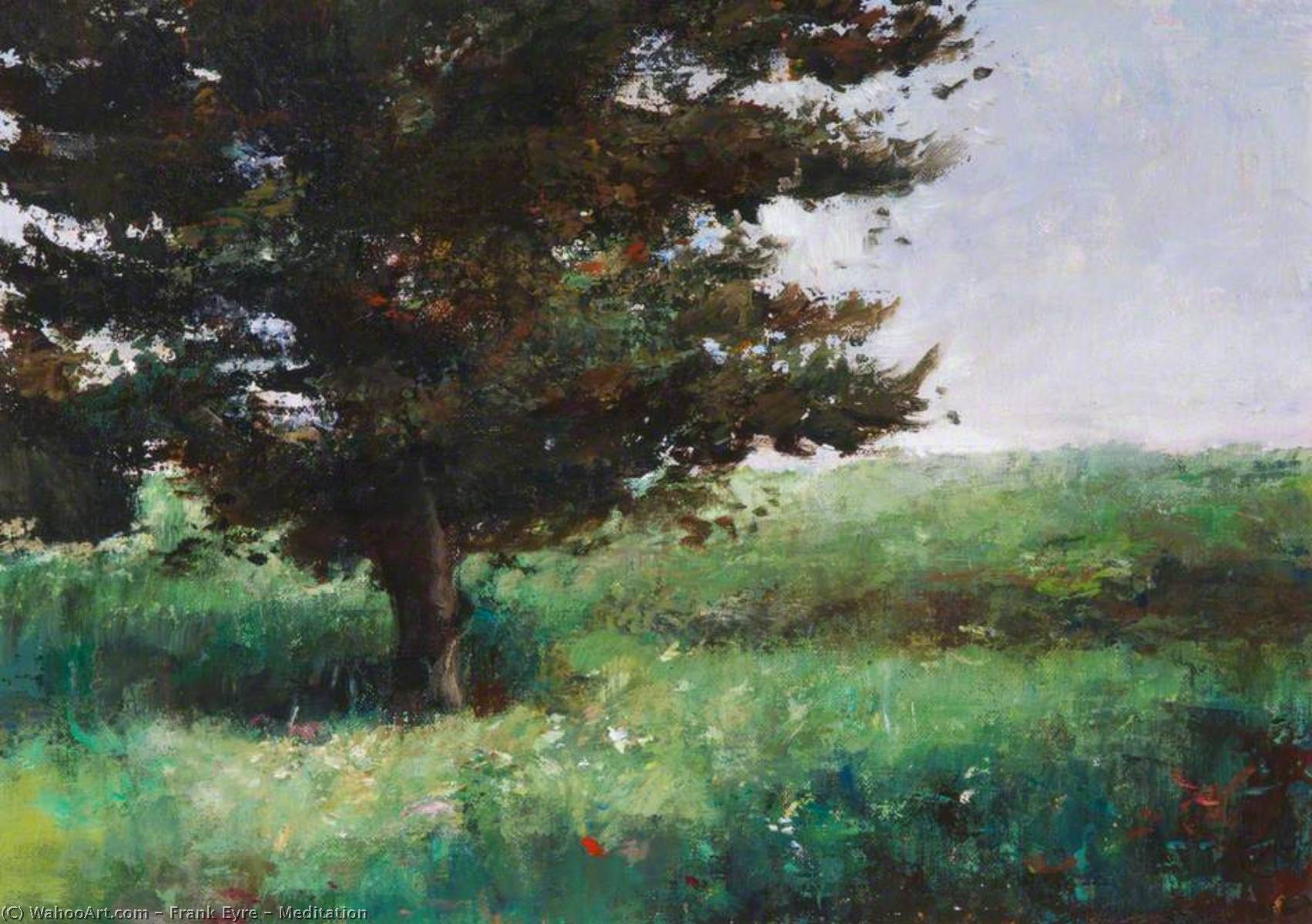 Meditation — Frank Eyre