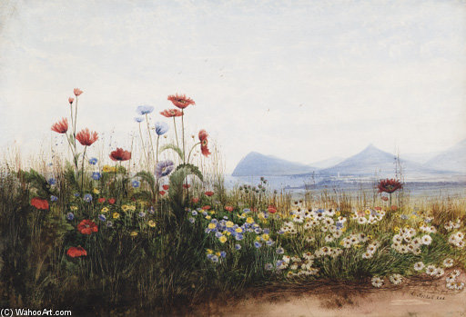 Poppies, Cornflowers And Daisies On Killiney Hill; Killiney Bay, Bray Head And The Sugar Loaf Mountain In The Distance — Andrew Nicholl