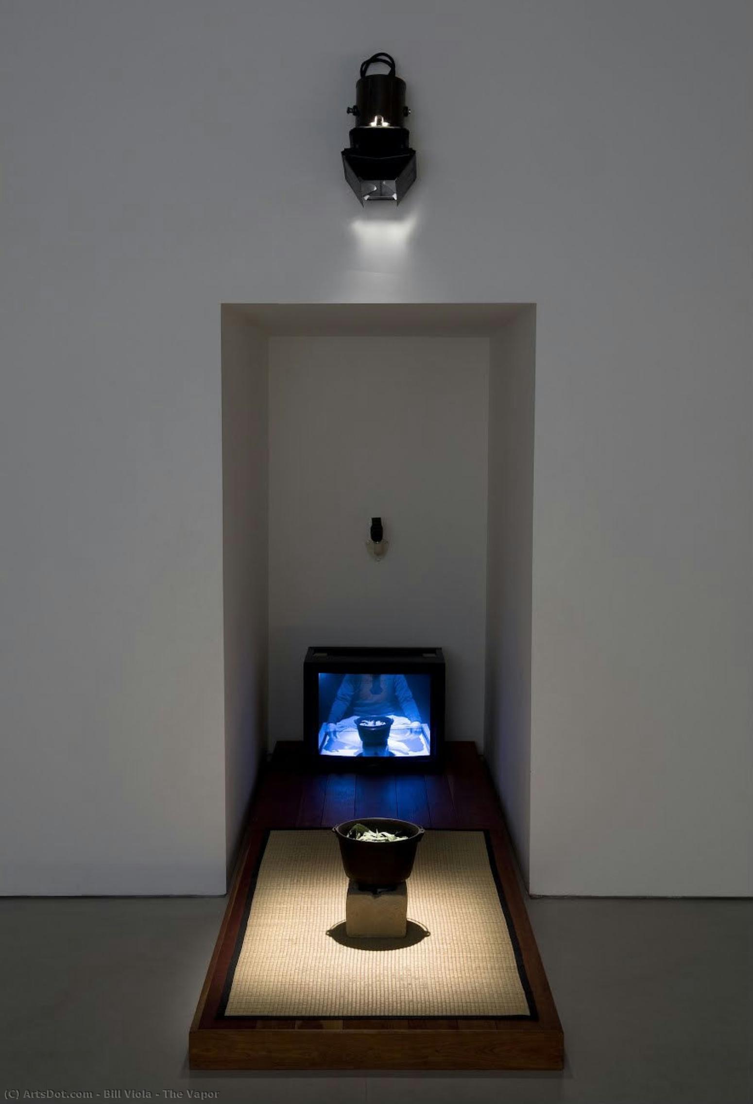 The Vapor — Bill Viola