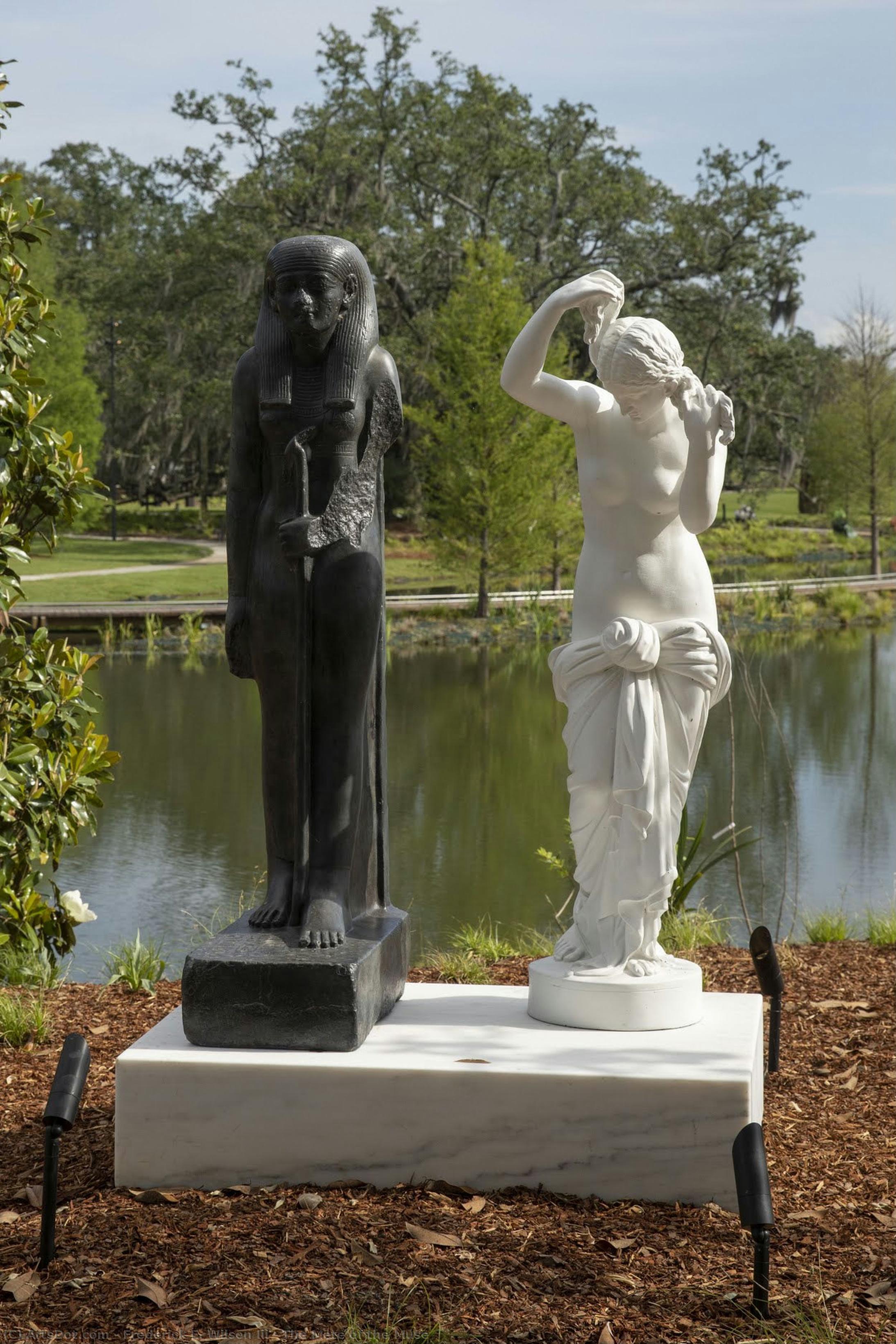 The Mete Of The Muse — Frederick E. Wilson Iii