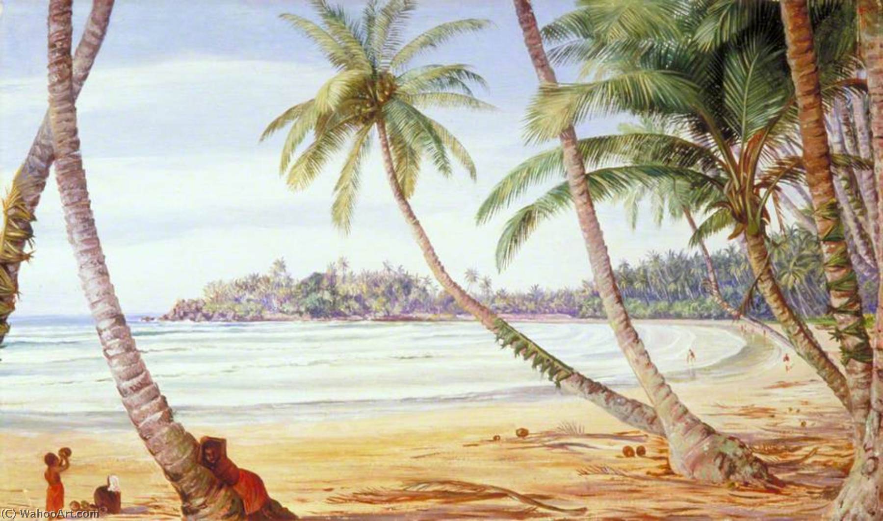 Cocoanut Palms On The Coast Near Galle, Ceylon — Marianne North
