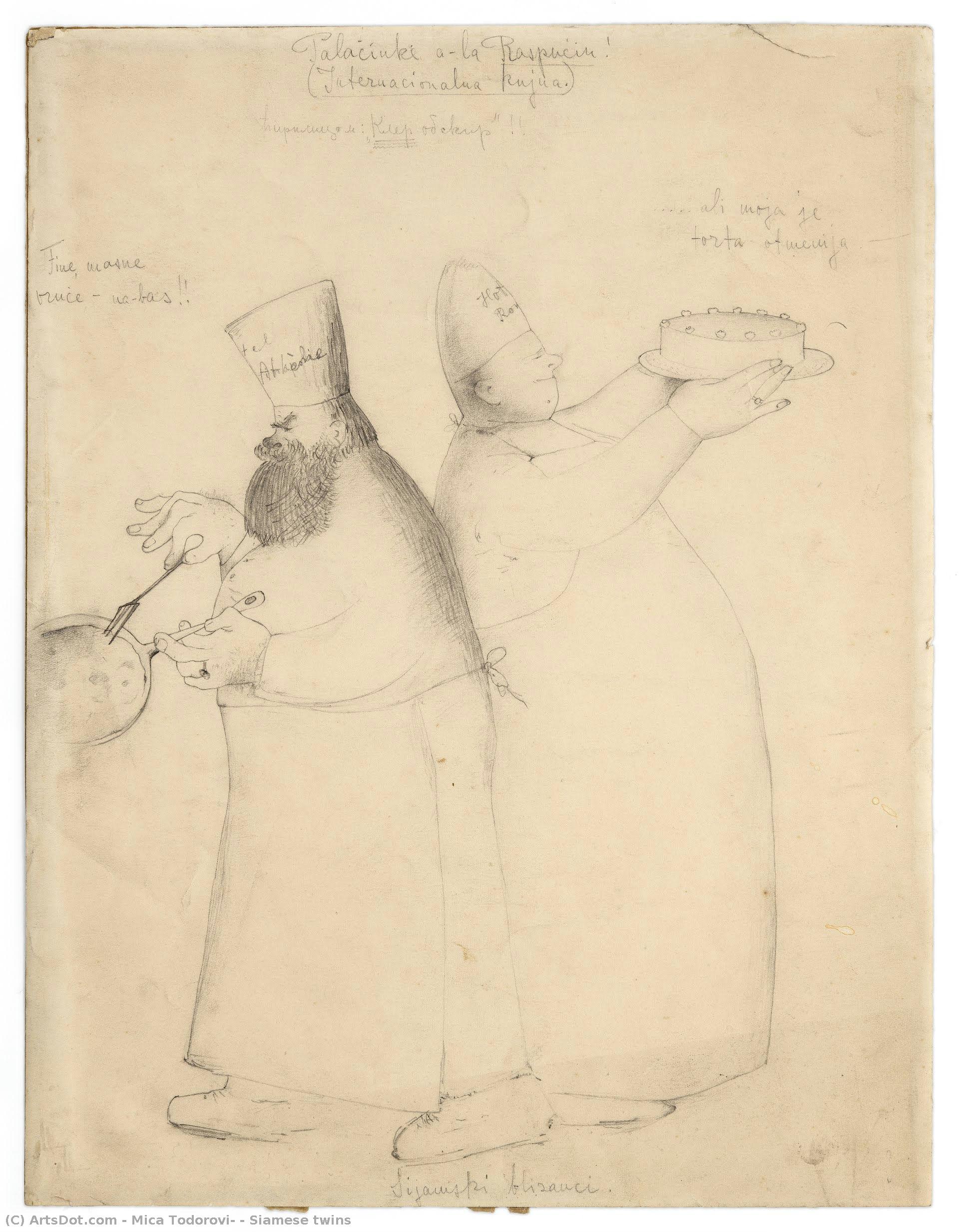 Siamese Twins — Mica Todorović