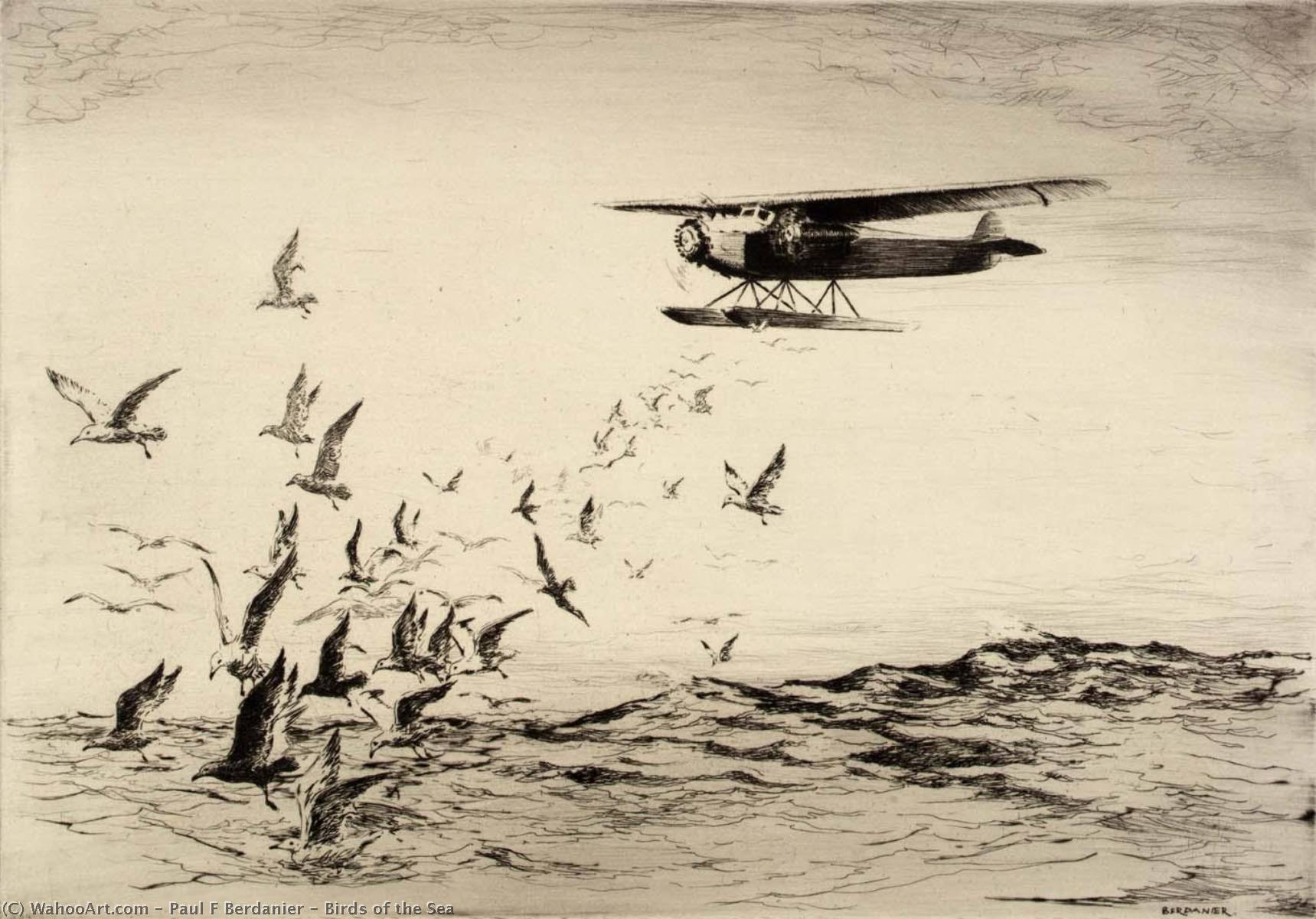 Birds Of The Sea — Paul F Berdanier