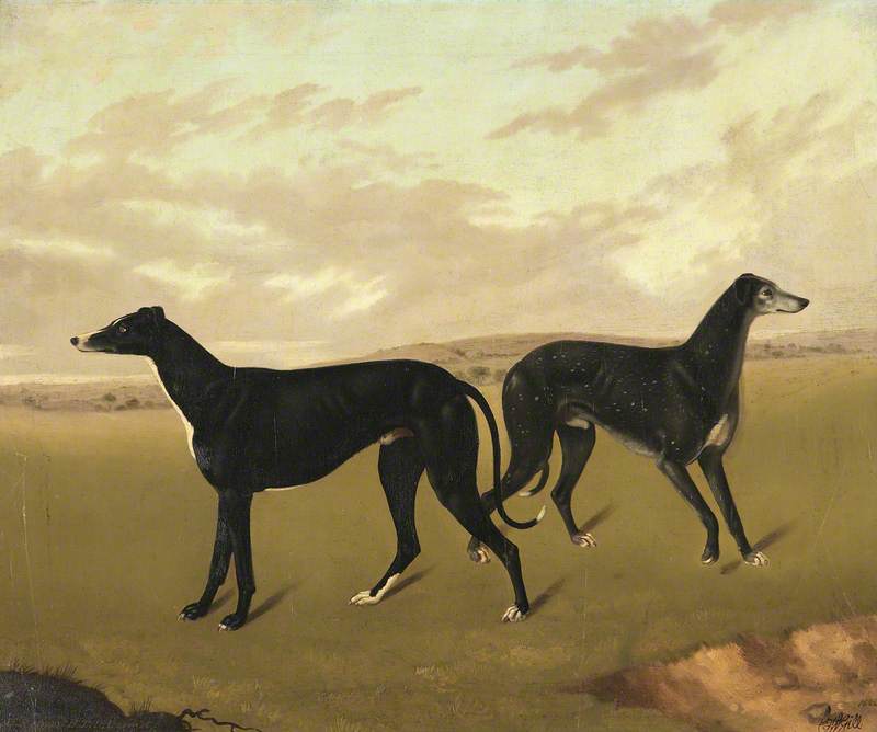 Two Greyhounds, Called ‘demus’ And ‘dermot’ — Edmund Ward Gill