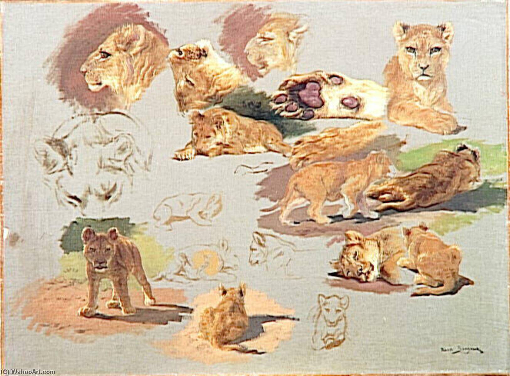 Etude De Lionne Et Lionceau — Bonheur Marie Rosalie