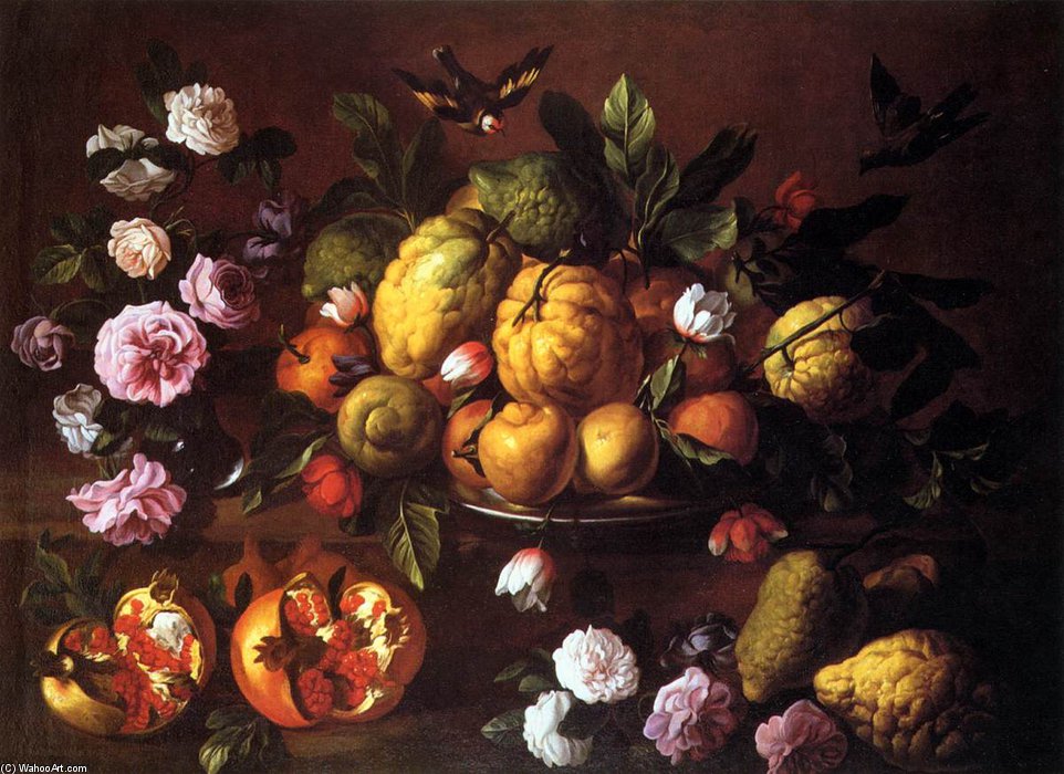 Still-life — Luca Forte