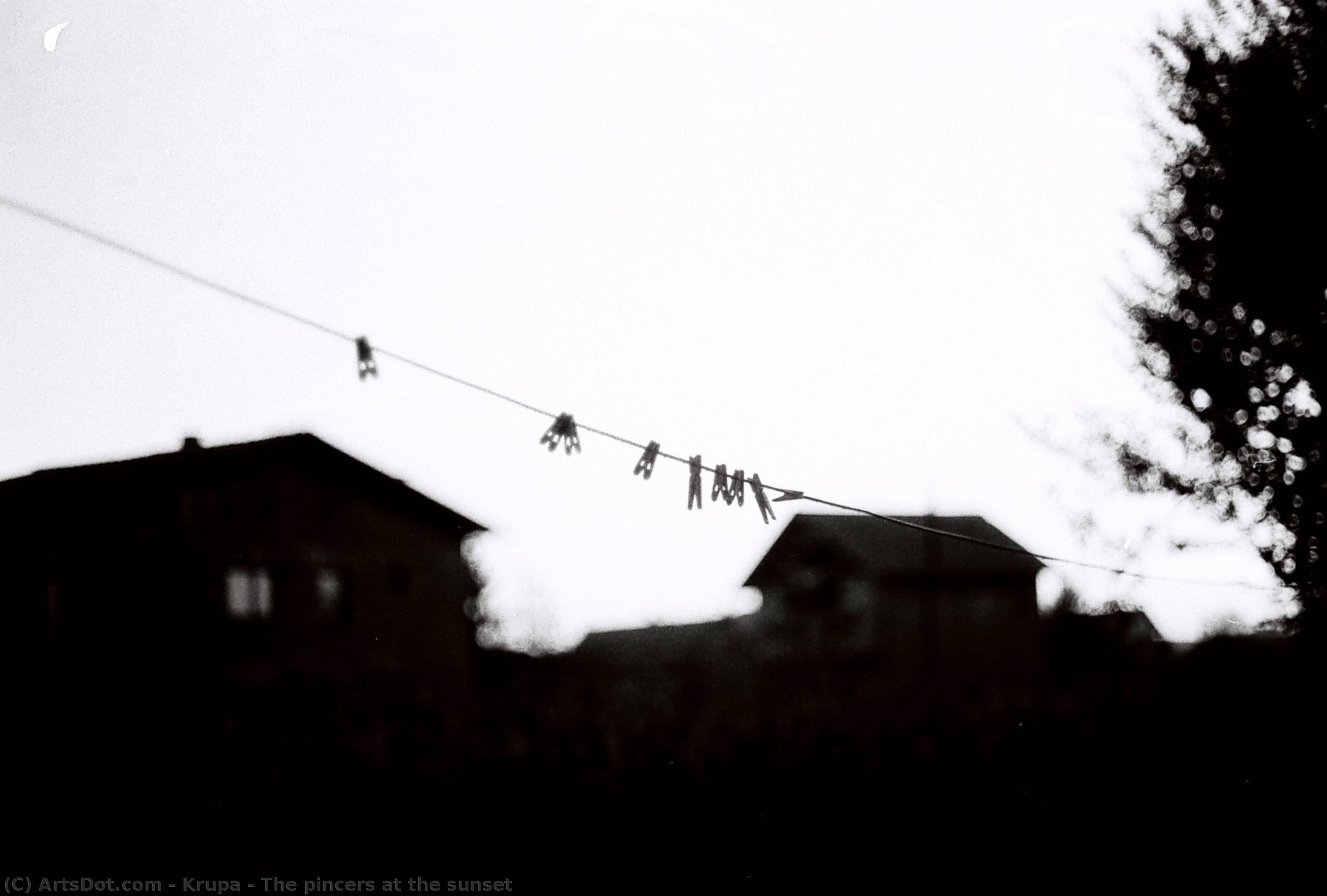 The Pincers At The Sunset — Alfred Freddy Krupa