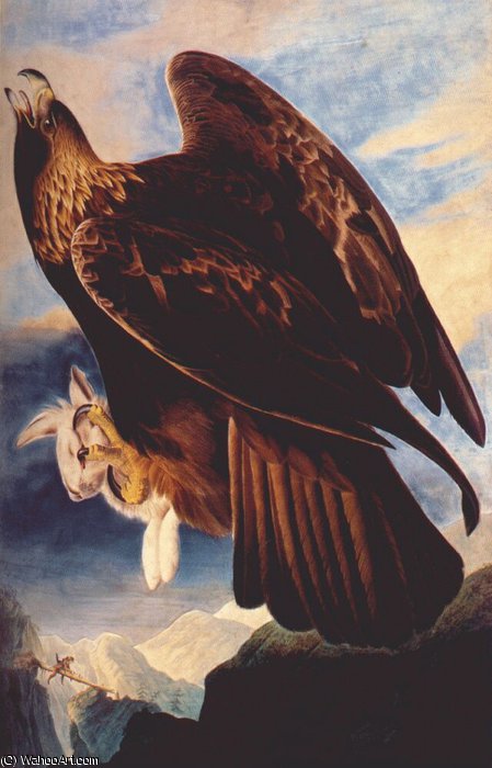 Golden Eagle — John James Audubon