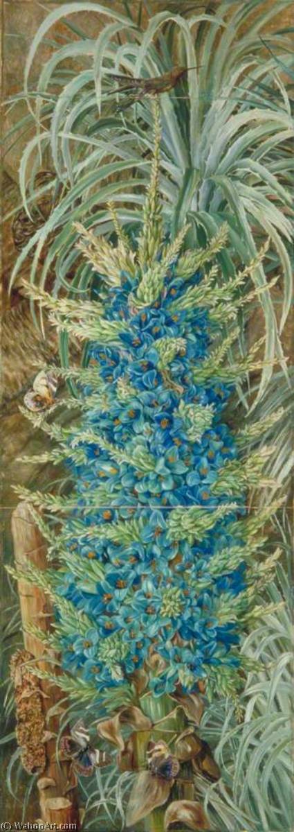 Inflorescencia De La Puya Azul Y Polillas, Chile — Marianne North