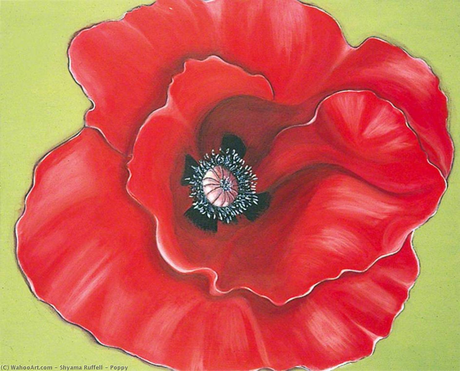 Poppy — Shyama Ruffell