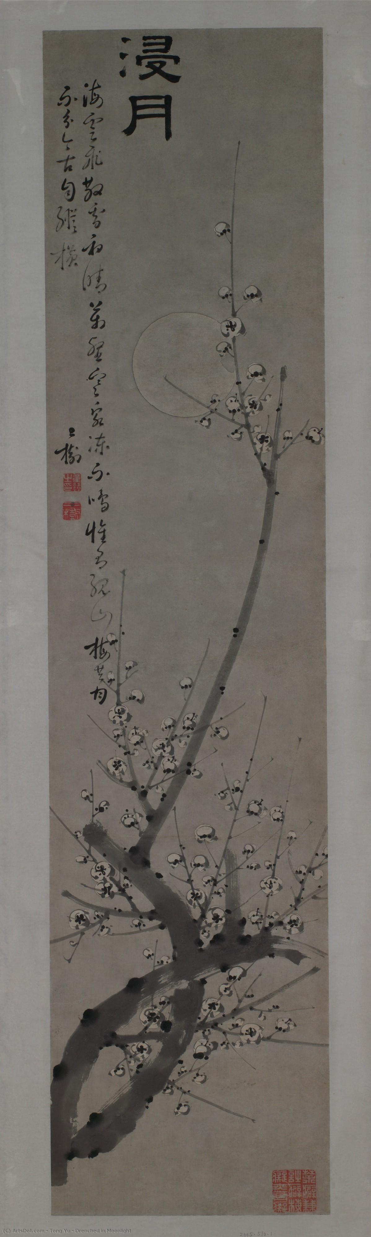 Drenched In Moonlight — Tong Bing Yu