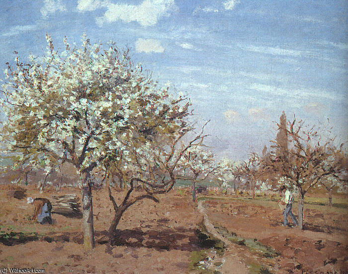 Orchard In Bloom At Louveciennes — Camille Pissarro