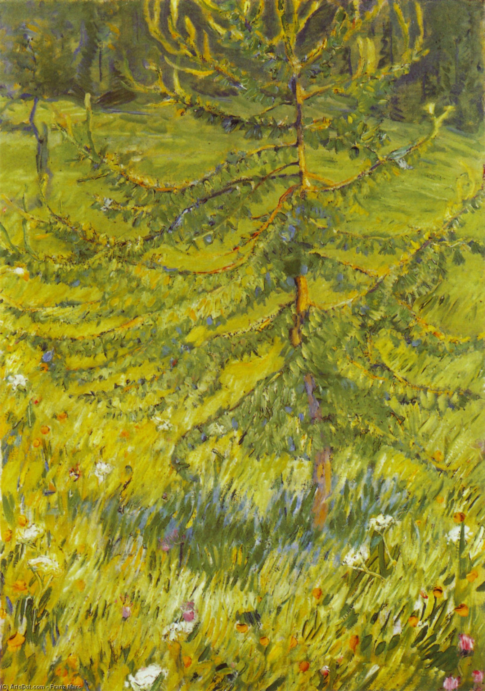 Larch Sapling — フランツ・マルク