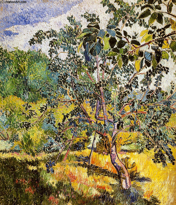 Corner Of A Garden Sun — Natalia Goncharova