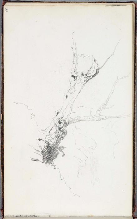 Study, Tree 4 — Thomas Cole