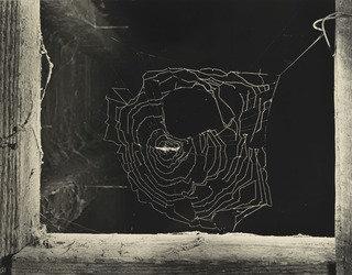 Spider Web And Stables, New York — Ильза Бинг