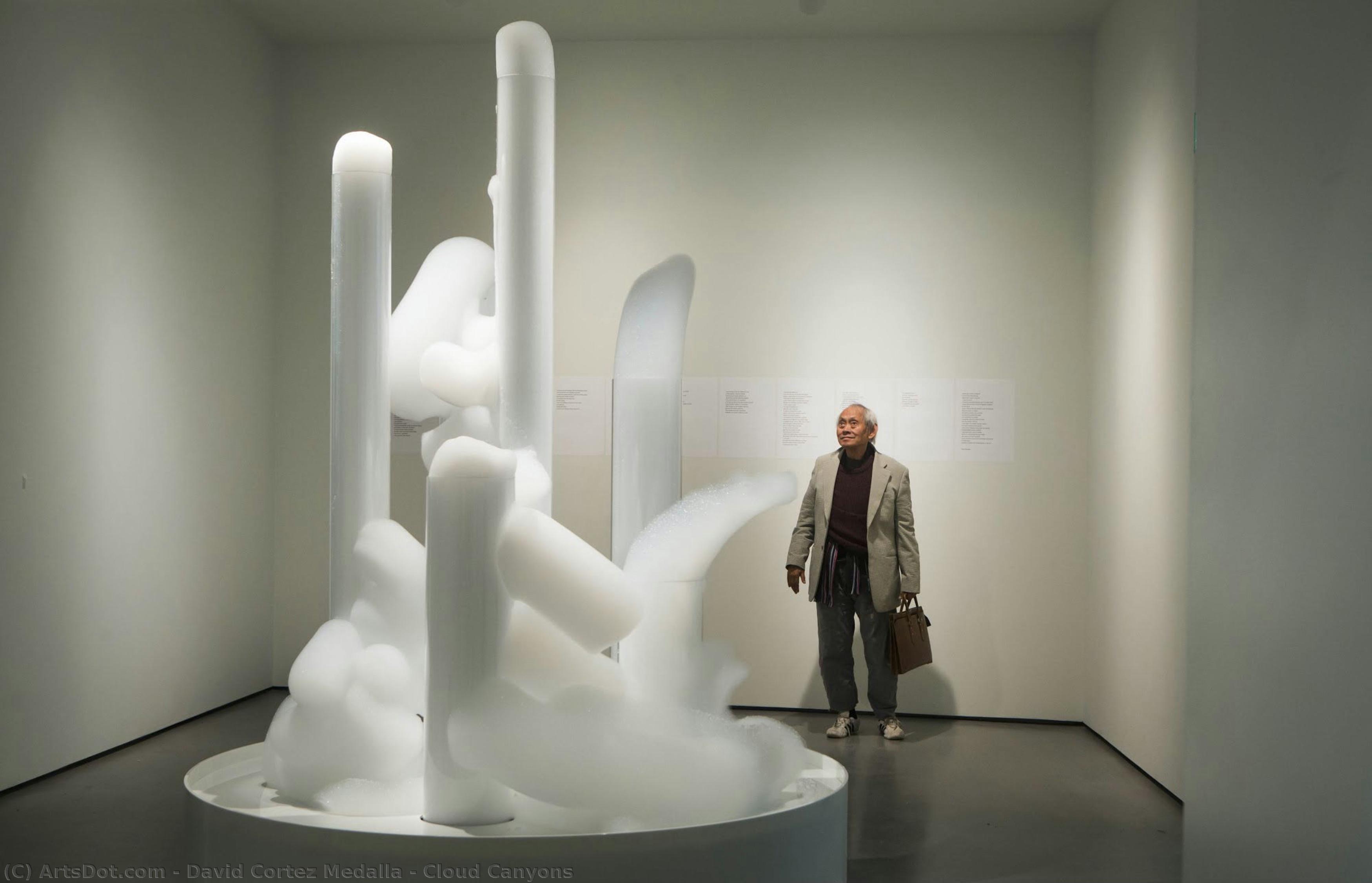 Cloud Canyons — David Cortez Medalla